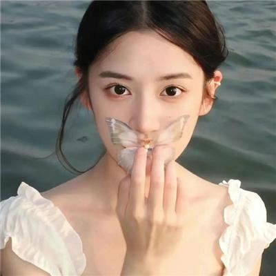 花落莺啼春